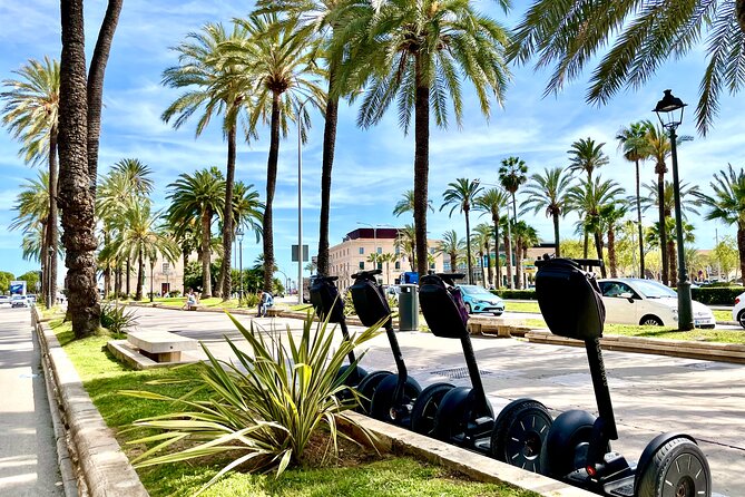 VIP Private Segway Tour of Palma - Plaça Cort and the Olivera de Cort, a small landmark with big local meaning