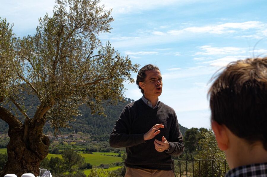 Visit of the olive grove, olive oil tasting and snack - Why a tree-to-table EVOO tour feels different in Mallorca