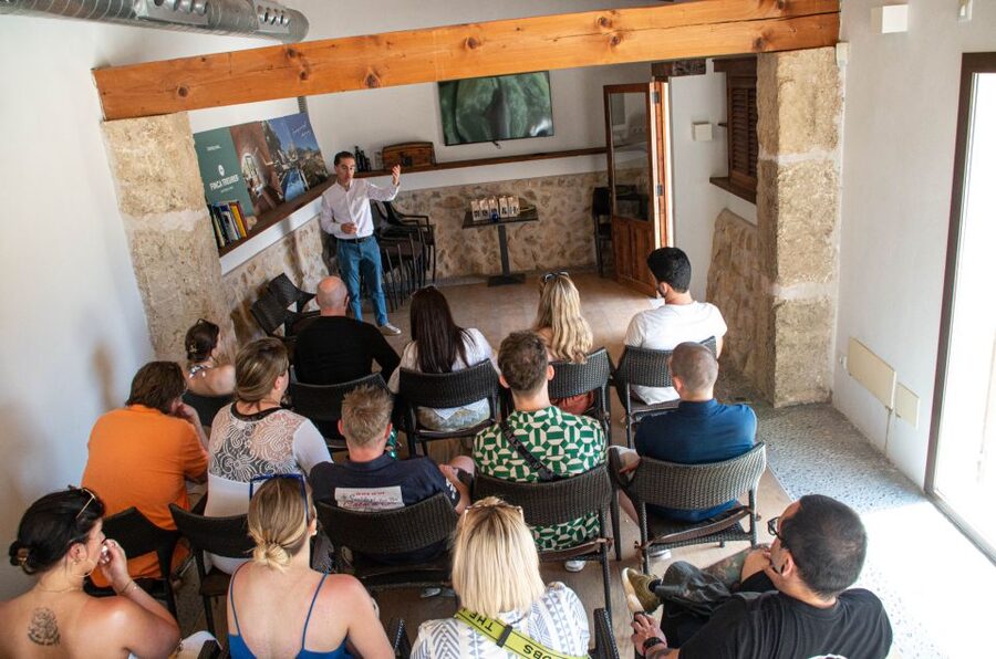 Visit of the olive grove, olive oil tasting and snack - The EVOO class and tasting: how to tell extra virgin apart