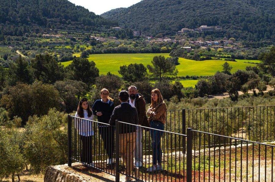 Visit of the olive grove, olive oil tasting and snack - Best for whom, and who might want to skip